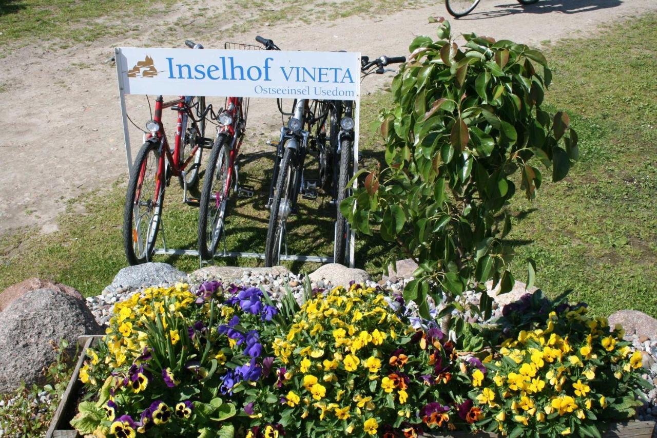 Haus Schwalbe Mit Vineta Komfort Haeusern Zempin Bagian luar foto
